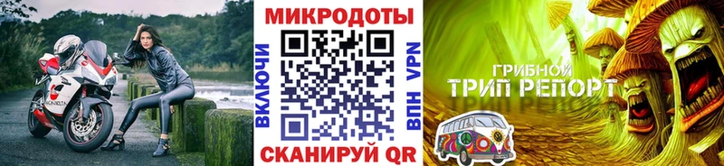 Купить где  Аша  Псилоцибиновые грибы GOLDEN TEACHER 